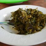Moringaoleifera1.jpg