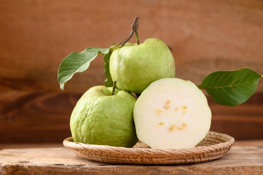 גויאבה תאילנדית פאראנג Thai Guava