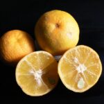 Citrusichangensisxcitrusreticulatavaraustera3.jpg