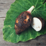 Taro.jpg S=1024x1024&w=is&k=20&c=x Td2e M Jc75pdu91qgxua2uinwe8qrfneulfn5mte=