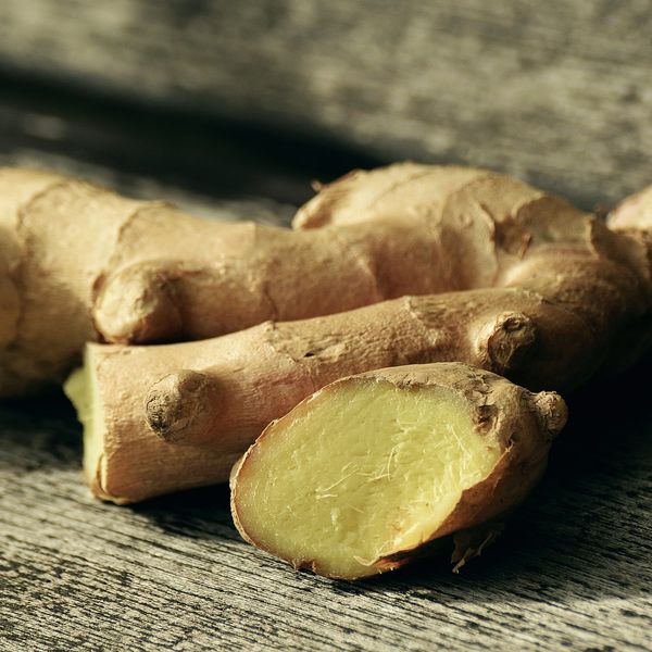 Zingiber officinale ג'ינג'ר זנגביל