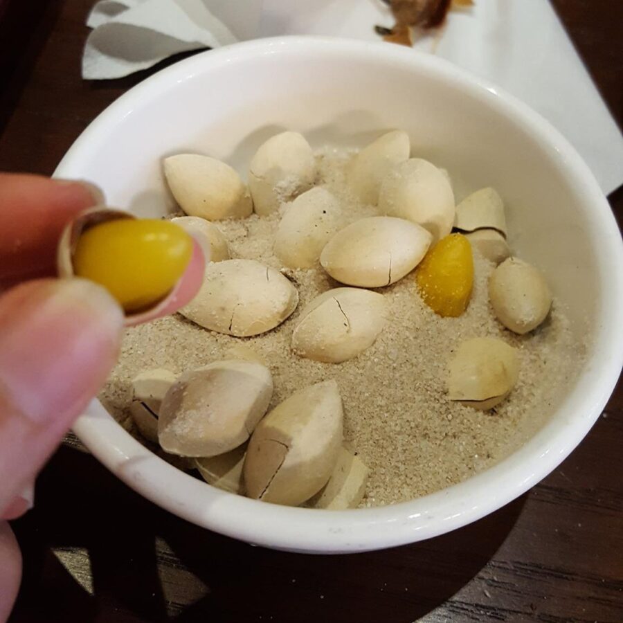 פירות גינקו בילובה אפויים ומוגשים במלח במסעדה סין
