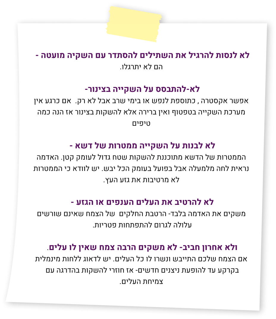 פינת ה