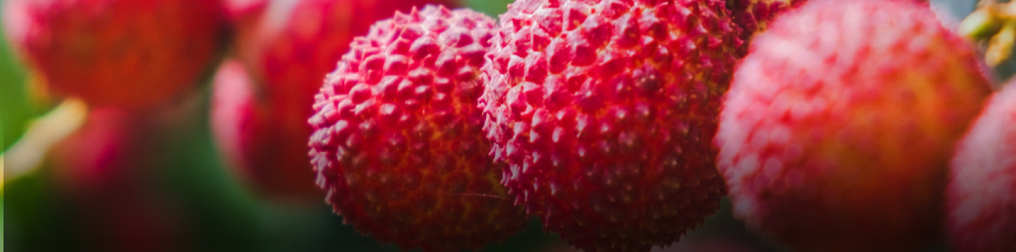 Main Banner(1)