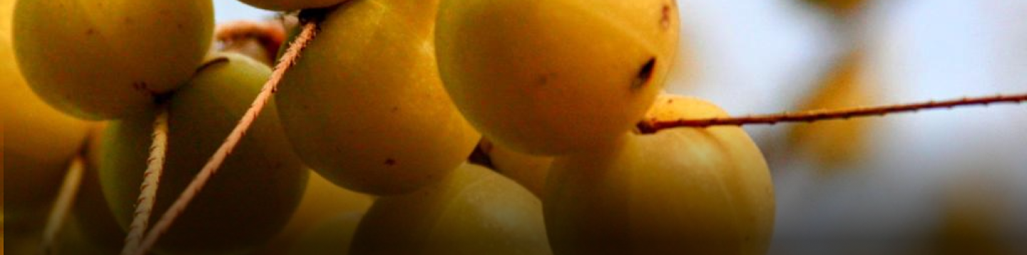 Main Banner(2)