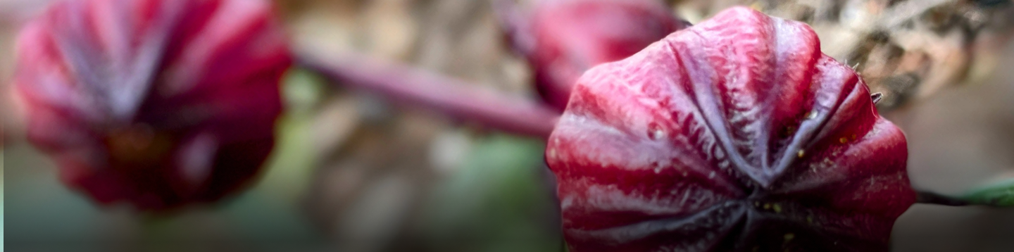 Main Banner(3)