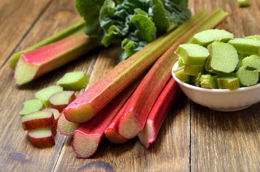 רובארב Garden rhubarb