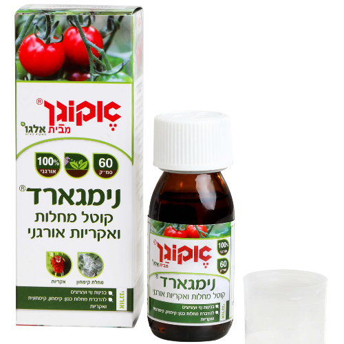 עיצוב ללא שם 2025 08 19t110249.900 עיצוב ללא שם 2025 08 19t110249.900