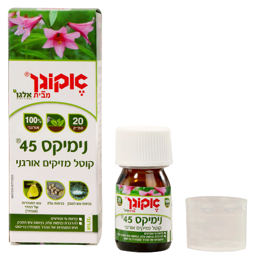 עיצוב ללא שם 2025 08 19t110358.511 עיצוב ללא שם 2025 08 19t110358.511