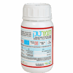 עיצוב ללא שם 2025 08 19t110539.006
